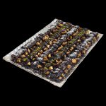 خرما گردو بزرگ